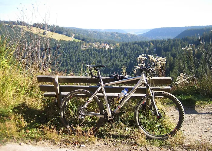 Hotel Lamm Baiersbronn Mitteltal