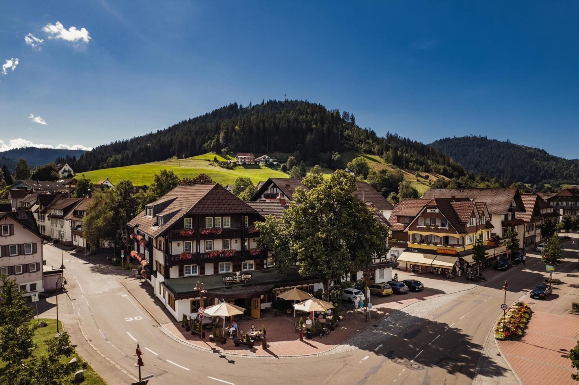 Hotel Lamm Mitteltal 4*